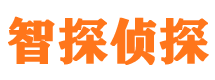 农安出轨调查